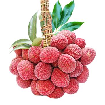 Lichu, Lychee, Litschi