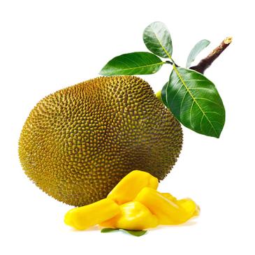 Kathal, Jackfruit, Jackfrucht