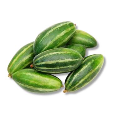Pointed gourd- Potol- Spitzkürbis